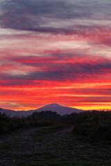 First full moon of the year 2025, the wolf moon!...I can still hear the howls!
