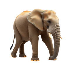 Obraz premium Realistic Elephant Illustration on Transparent Background for Design Projects and Overlays