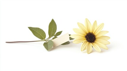 Elegant Yellow Flower with Green Leaves and Blank Tag for Labels