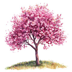 Fototapeta premium Cherry Blossom Tree Clipart Vector Illustration