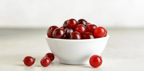 Bowl with healthy cranberries on light background