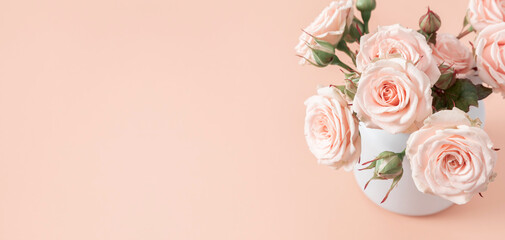 Pink rose flowers in a white vase on a light cream surface. Bouquet of light roses on a beige table. Mother's Day, Valentine's Day. Banner