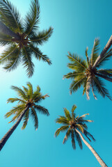 A Blue Sky With Palm Trees