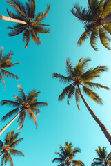 A Blue Sky With Palm Trees