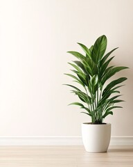 Indoor Plant in Minimalist Space