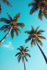 A Blue Sky With Palm Trees