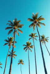 A Blue Sky With Palm Trees