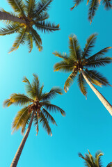 A Blue Sky With Palm Trees