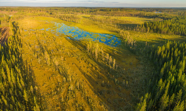Aerial view over boreal forest with swamp at sunset, Finland