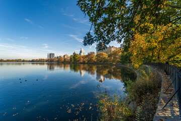 Reflejo en el parque central de nueva york