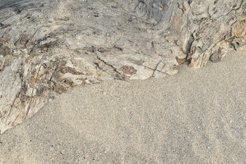 Close-up of driftwood texture on sandy beach. Weathered wood blending with fine beach sand. Natural textures of wood and coastal sand. Driftwood detail surrounded by granular sand.
