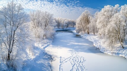 Obraz premium Aerial view of a frozen river winding through a snow-covered winter forest under a bright blue sky.