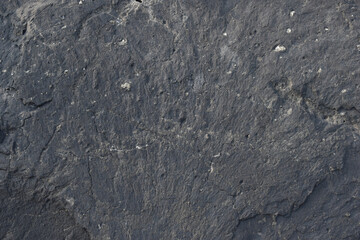 Close-up of a rough and textured rock surface. Raw stone surface showing organic shapes and lines. Earthy rock texture ideal for backgrounds or designs.