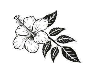black and white illustration of a hibiscus flower with detailed petals and leaves, perfect for botanical designs and nature-themed projects.