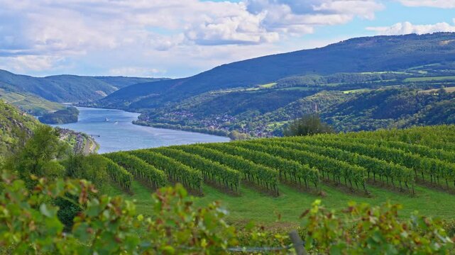 Parallax movement of a green grassy meadow, rolling hills and a vineyard in the picturesque Rhine River Valley countryside, Germany
