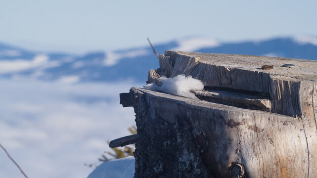Un tronc d&rsquo;arbre partiellement enneig&eacute; captur&eacute; en gros plan, avec en arri&egrave;re-plan une vue flout&eacute;e des montagnes et un ciel clair. Cette image &eacute;voque la beaut&eacute; des paysages alpins et la nature hivernal
