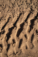 photo Close-Up of Tire Track Patterns Imprinted on Sandy Surface Depicting Outdoor Adventure and Exploration through All-Terrain Vehicles in Natural Environments