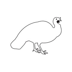 Turkey Chicken Icon