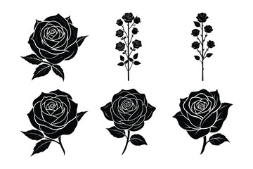 set of rose flower vector illustration
