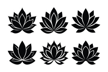 set of  lotus flower vector illustration