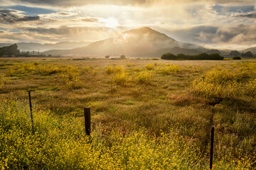 USA, California, San Luis Obispo. Sunrise over farmland
