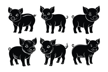 set of pig baby vector illustration