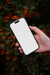 Smartphone in a womans hand against the background of a bush with berries