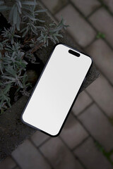 Smartphone mockup on concrete with a plant in the background street view