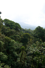 La Fortuna, Costa Rica - November 20, 2024 - the Mistico Arenal Hanging Bridges Park in Provincia de Alajuela 