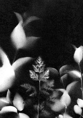 Branches with leaves. Vintage illustration. Versatile artistic image for creative design projects: posters, banners, cards, magazines, book covers, prints, wallpapers. Artist-made art.