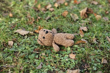 Lost knitted bear on green grass, closeup