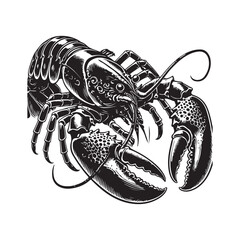 illustration of a lobster