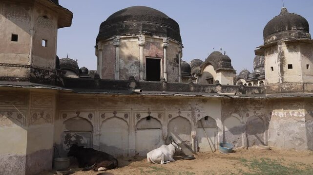 Ramgopal Chhatri cenotaph, Rajasthan, Ramgarh Shekhawati, India