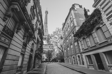 Fototapeta premium A peaceful morning in Paris reveals a charming street framed by elegant buildings, with the iconic Eiffel Tower rising between them. The quiet ambiance invites leisurely exploration.