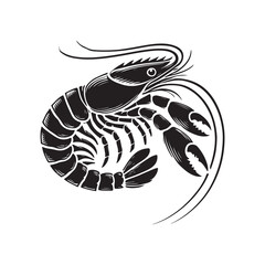  shrimp Illustration