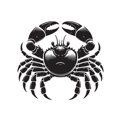 crab illustration
