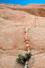 USA, California. Joshua Tree National Park natural rock formation