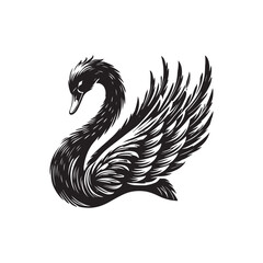 Fototapeta premium Swan on white background