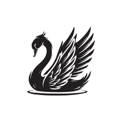 Fototapeta premium vector black swan