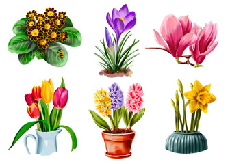 Set of spring flowers with different colors and varieties. Watercolor isolated digital illustrations on white background