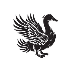 Obraz premium Duck on whitebackground