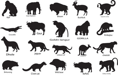 Animals Collection, Diverse Wildlife Vector Art
