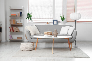 Comfortable sofa, coffee table and shelving unit with books in interior of living room