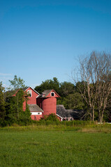 red barn in the forest