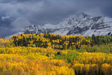 Obraz premium USA, Colorado, Uncompahgre National Forest. Storm clouds above Wilson Peak and autumn aspen forest.