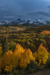 Naklejka premium USA, Colorado, Uncompahgre National Forest. Rainstorm over San Juan Mountains and aspens in autumn.