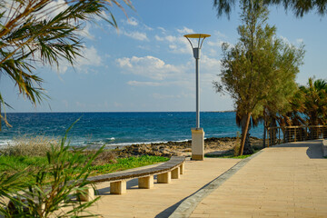 Beachfront Promenade with Palm Trees and Ocean View