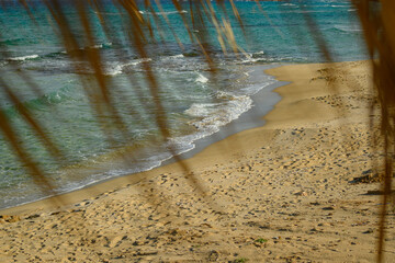 Beach Path Framed by Palm Leaves