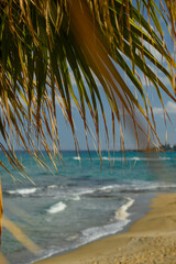 Tropical Beach with Soft Waves and Sand