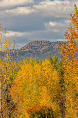 Fototapeta premium USA, Colorado, Fort Collins. Horsetooth Mountain and forest landscape.